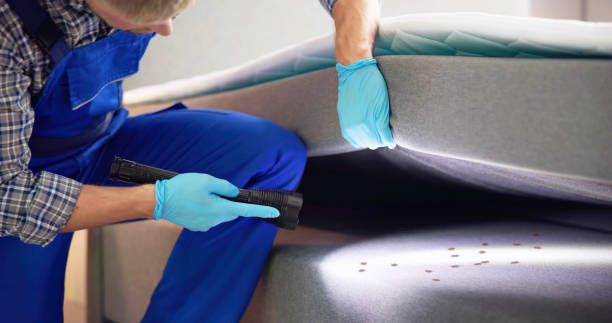 Best Local Pest Control Services  in Laurel, MT