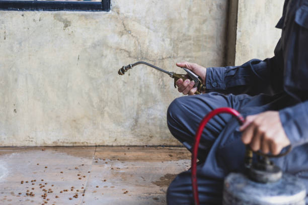 Best Rat Extermination Near Me  in Laurel, MT
