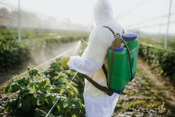 Best Pest Removal Services  in Laurel, MT